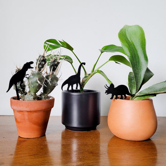 Creative plant accessories that add charm and functionality to any plant collection