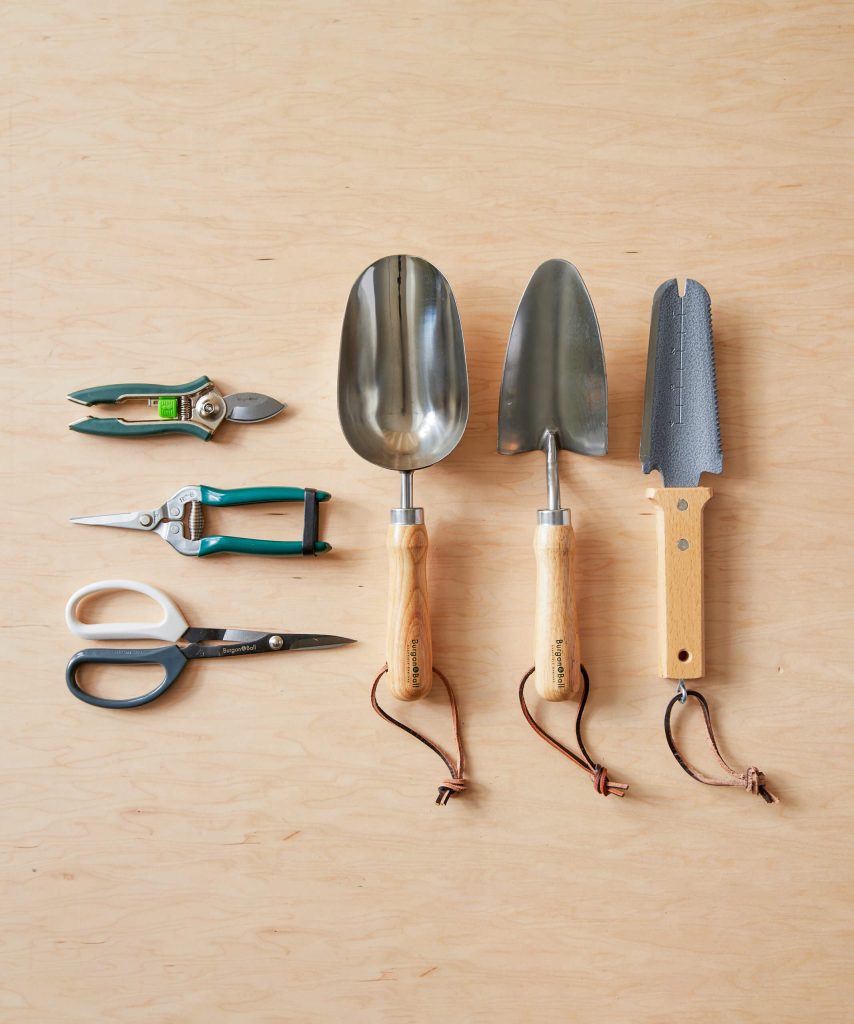 Professional plant care tools arranged on a clean surface